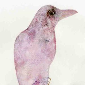 All creatures great and small