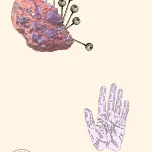 Seven Days to Dusk - II, 2015