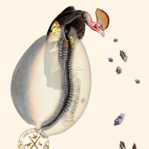 Seven Days to Dusk - V, 2015