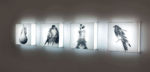 BIRDS OF A FEATHER FLOCK TOGETHER, 2013 Lightbox birds digital print