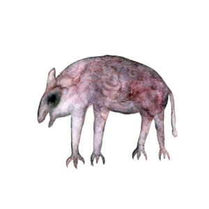 FROM 'THE WILD THINGS', 2013 watercolor on paper