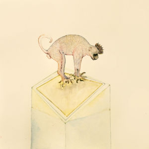 SERIES FROM 'ALL CREATURES GREAT AND SMALL', 2014