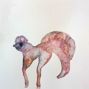 FROM THE WILD THINGS, 2013