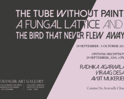 The Tube Without Paint, A Fungal Lattice And The Bird That Never Flew Away