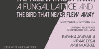 The Tube Without Paint, A Fungal Lattice And The Bird That Never Flew Away
