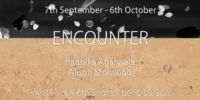 Encounter - ArtEco Gallery